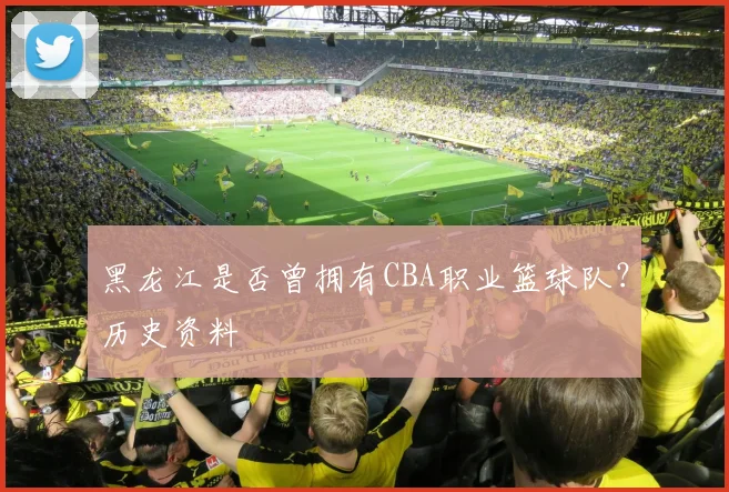 黑龙江是否曾拥有CBA职业篮球队？历史资料