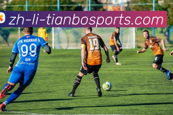 天博体育APP 高清赛事图